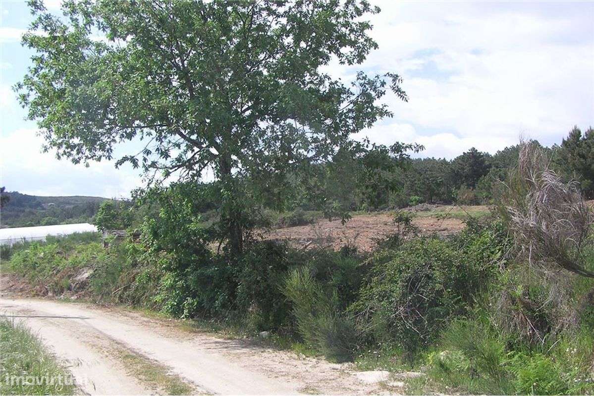 Terreno T0 para Venda - Grande imagem: 5/7