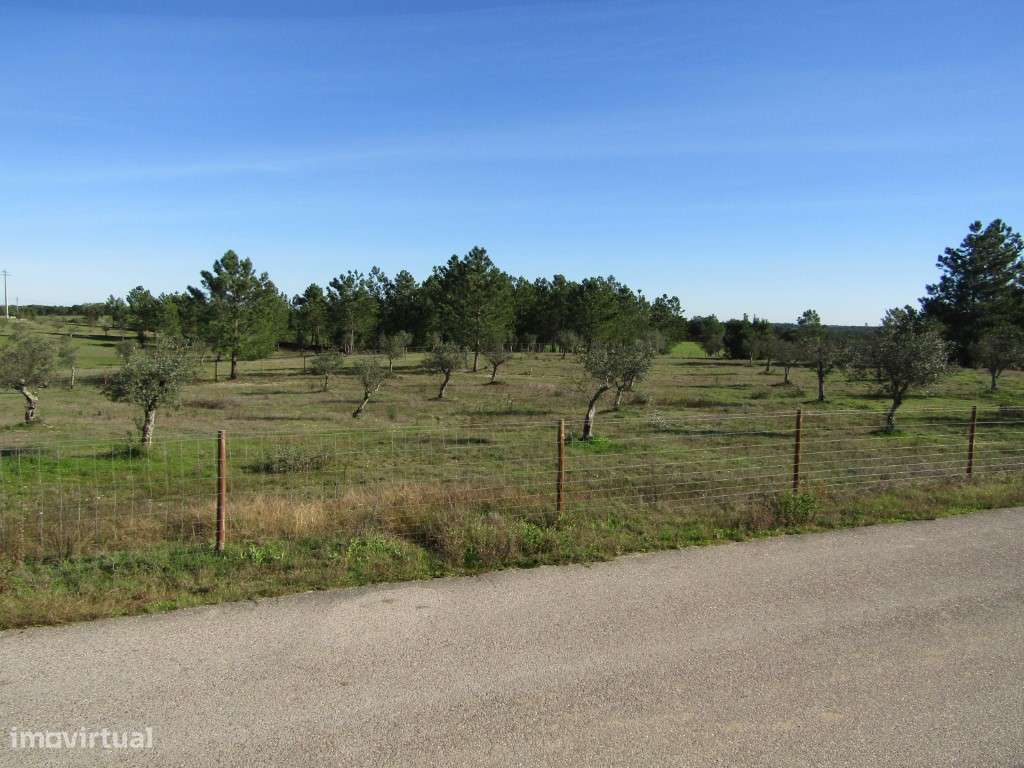 Lote para Construção-12