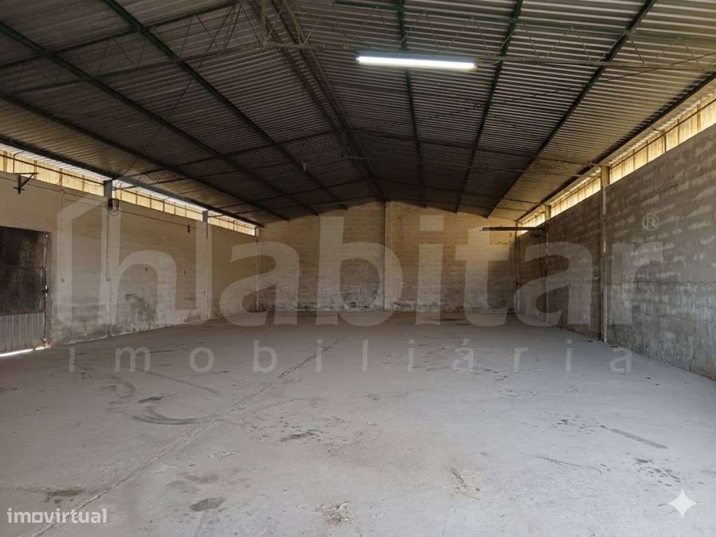 Armazém com 288 m², com Terreno Urbano com 3.893 m² - Benavente-4