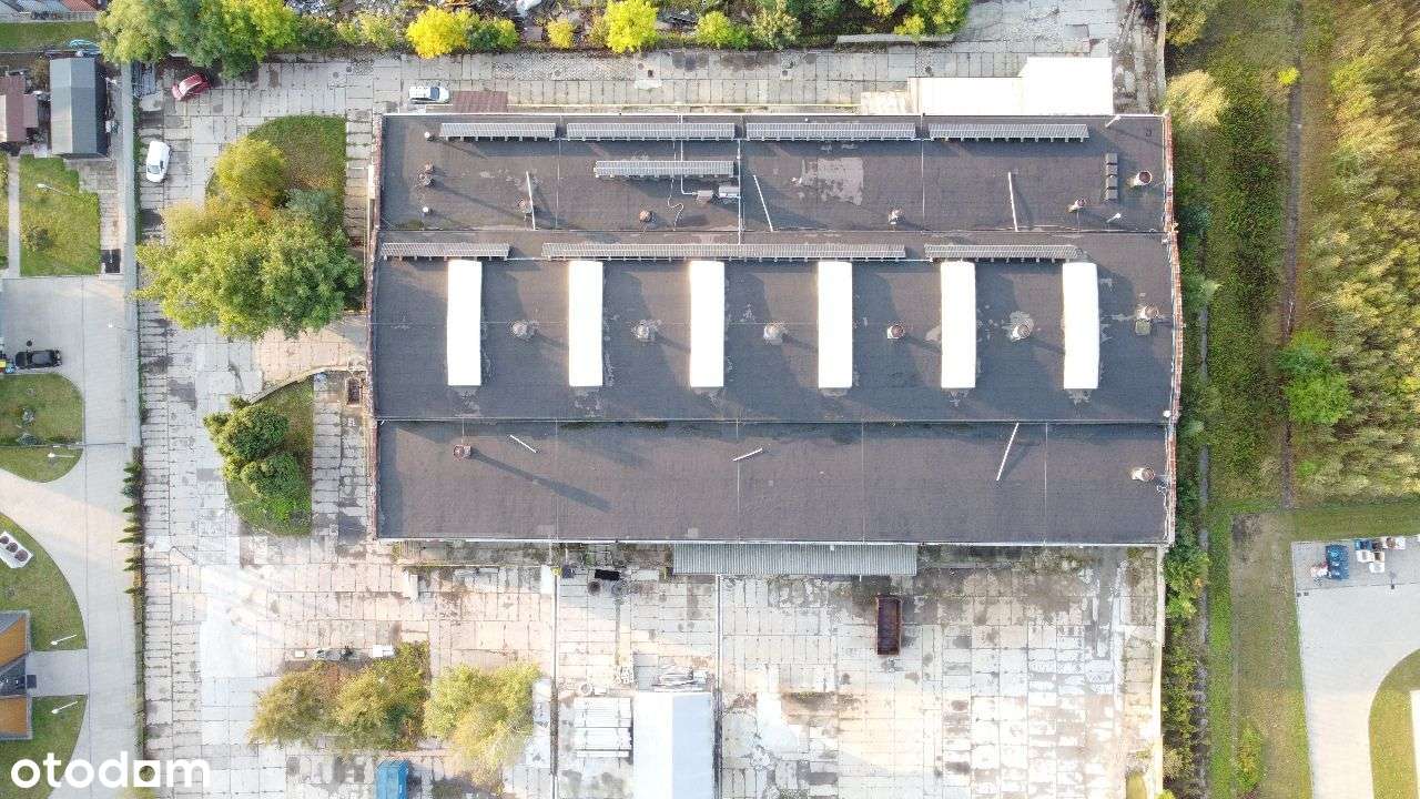 Hala po modernizacji z dużym placem i suwnicami - KSSE Bytom - Pełny obrazek: 3/14