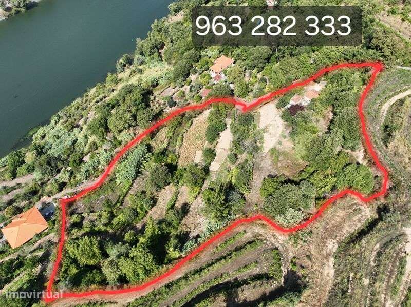 Quinta no douro a beira rio - Grande imagem: 5/11