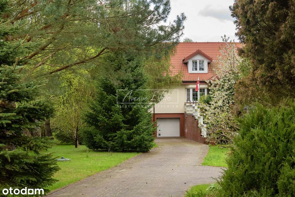 Dom jednorodzinny z halą produkcyjną - Pełny obrazek: 4/18