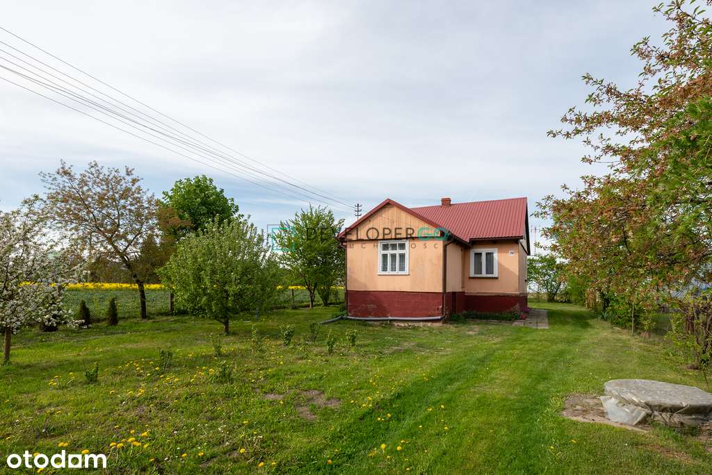 Drewniany dom na wsi, 5 km od Bielska Podlaskiego - Pełny obrazek: 4/13