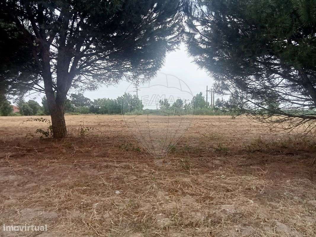 Terreno  para venda - Grande imagem: 4/8