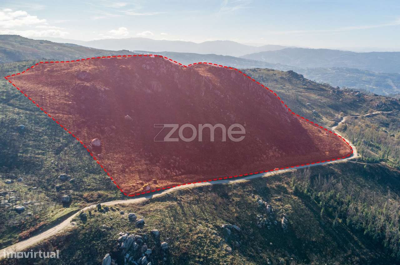 Terreno florestal com 4.2 hectares em Marco de Canaveses - Porto - Grande imagem: 5/7