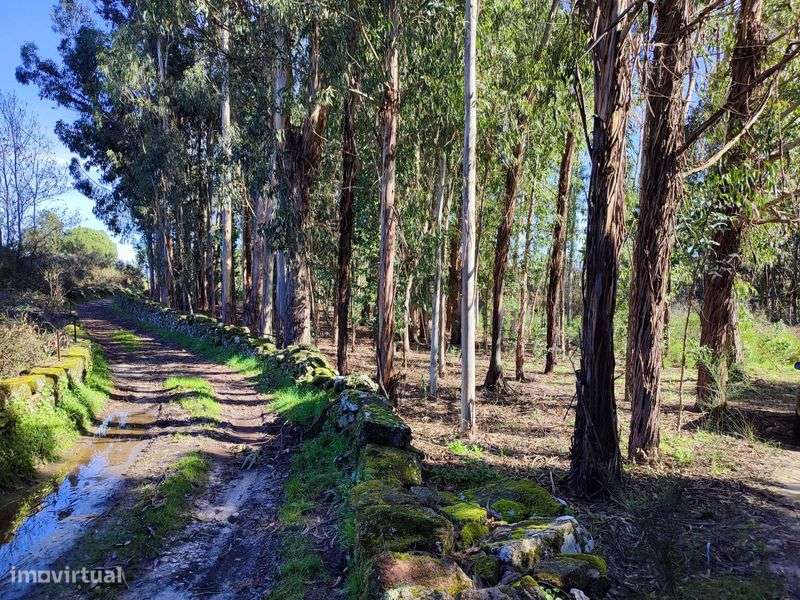 Vendo Terrenos - Vários - Grande imagem: 5/12