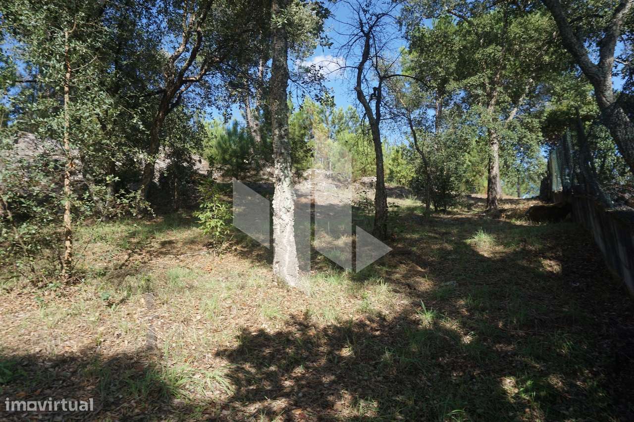 Terreno Para Construção  Venda em Parada de Gonta,Tondela - Grande imagem: 4/5