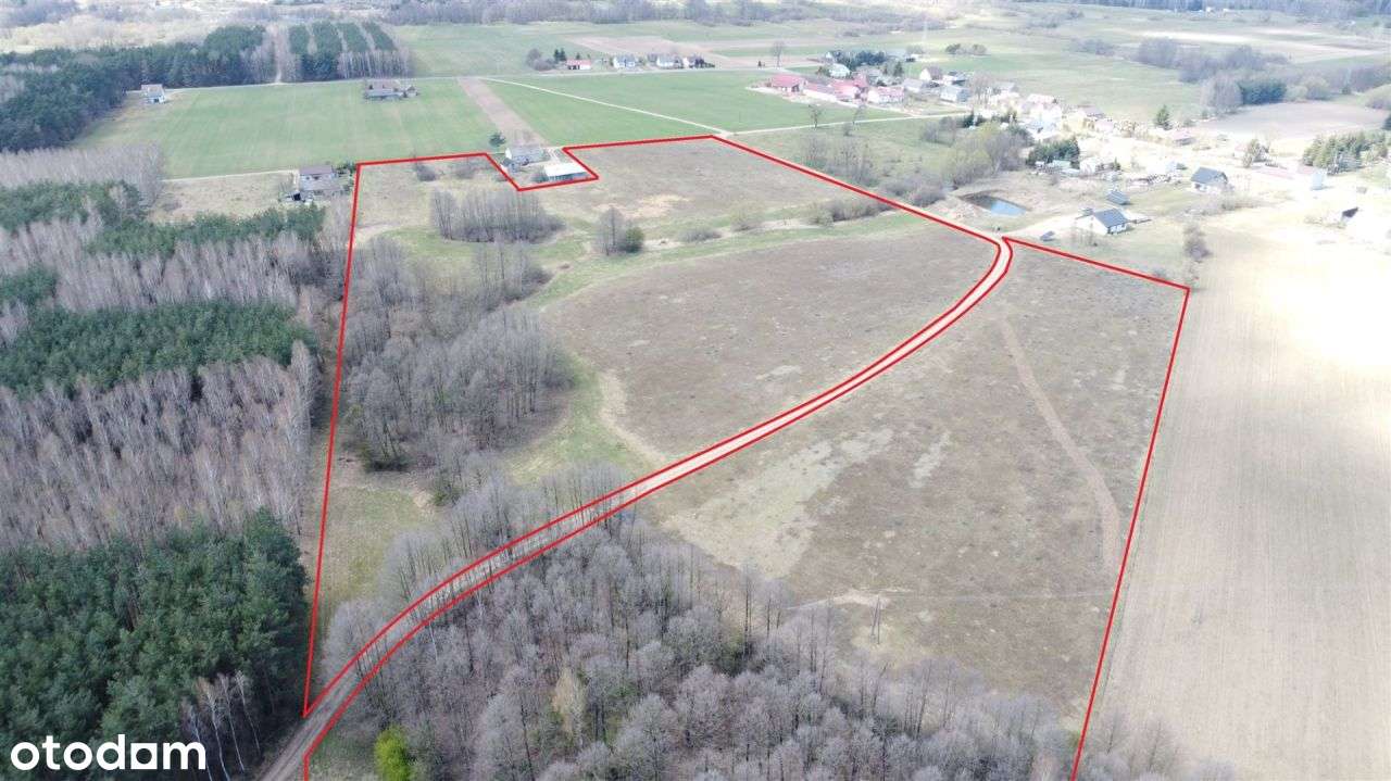4 Działki Rolne Ok 10 Ha|400 000 Zł|Okazja|Rogowo