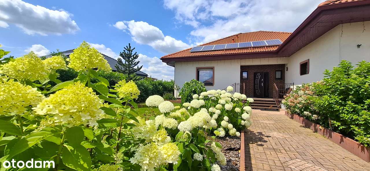 Dom parterowy z piękną działką! - Pełny obrazek: 4/20