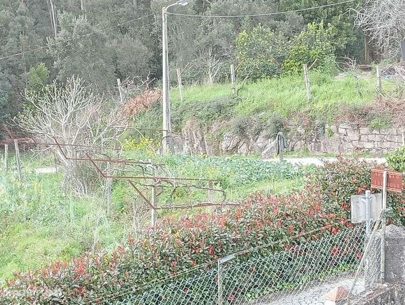 Terreno Fonte Arcada - Grande imagem: 4/10