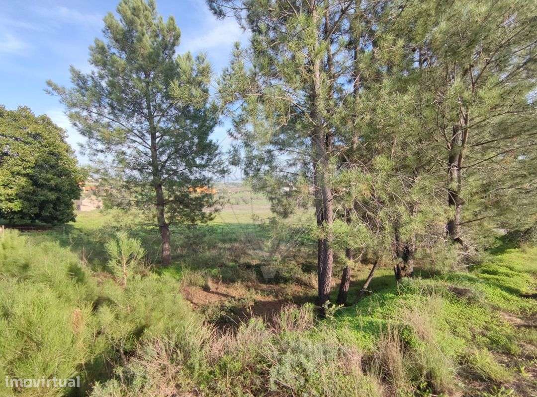 Terreno  para venda - Grande imagem: 5/13