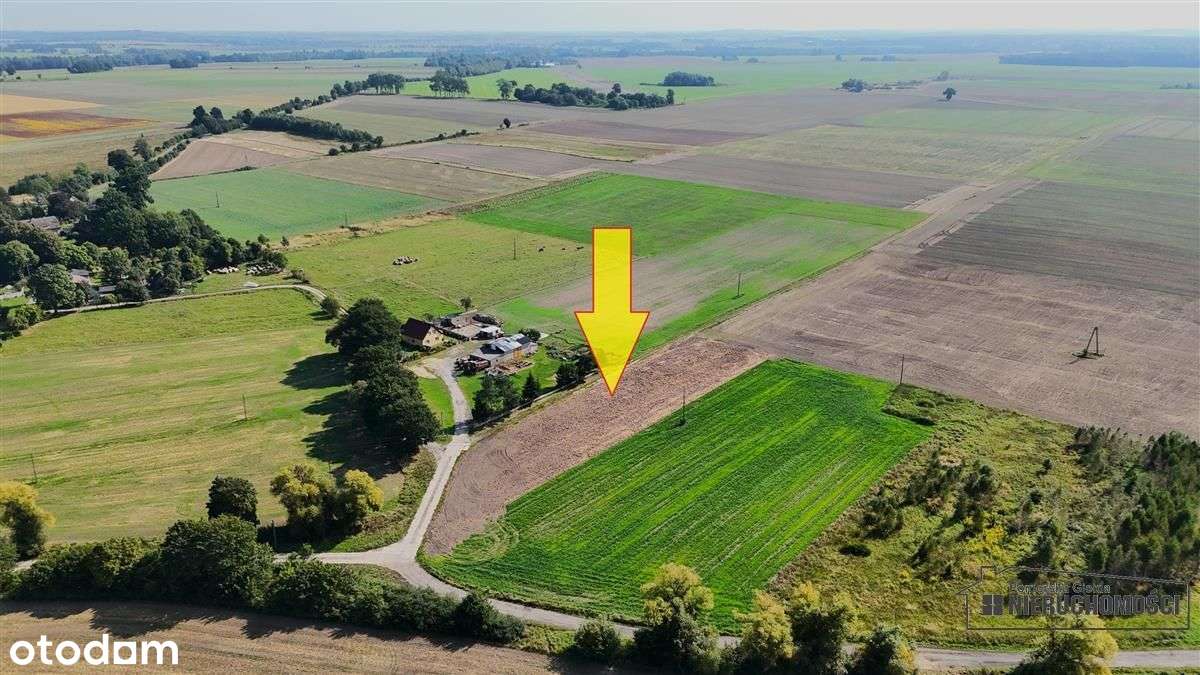 Bielikowo - działka budowlana około 20 minut od Ba-13