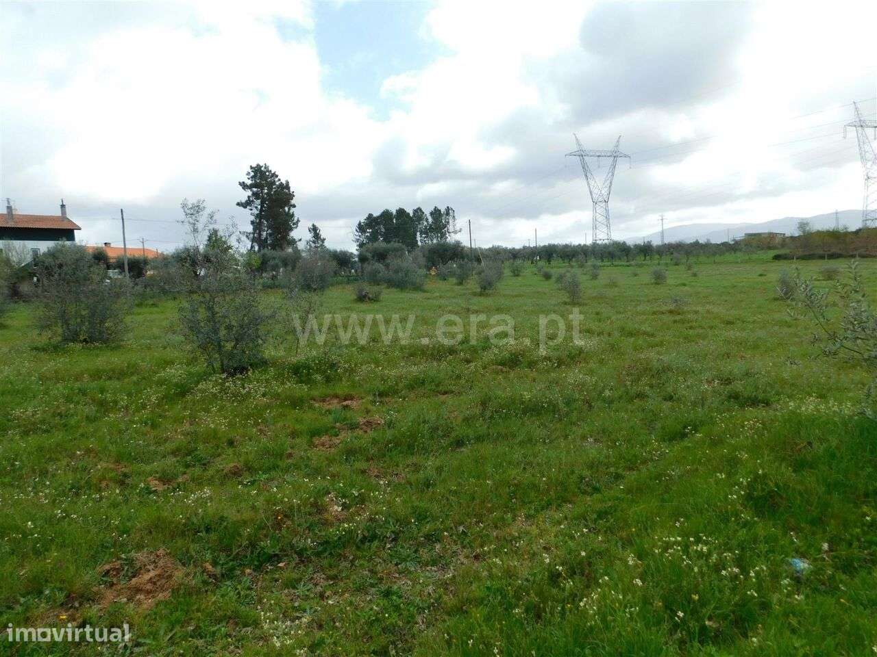 Terreno / Seia, Sameice e Santa Eulália - Grande imagem: 5/17