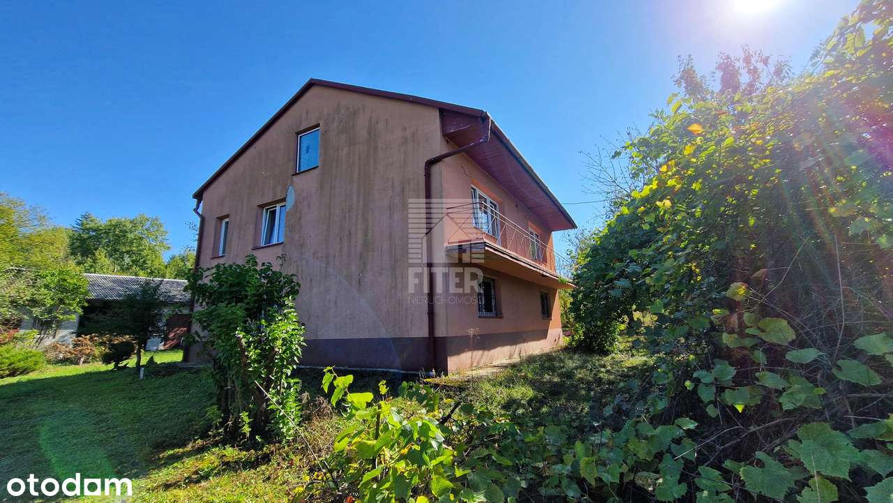 Prawie 3 ha + dom - Pełny obrazek: 5/20