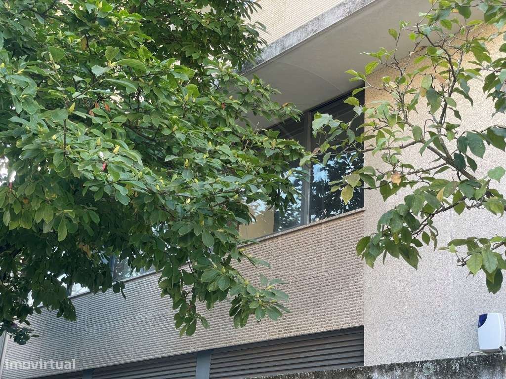Prédio Urbano no Centro da Maia Potencial para Serviços ou Habitação - Grande imagem: 5/32
