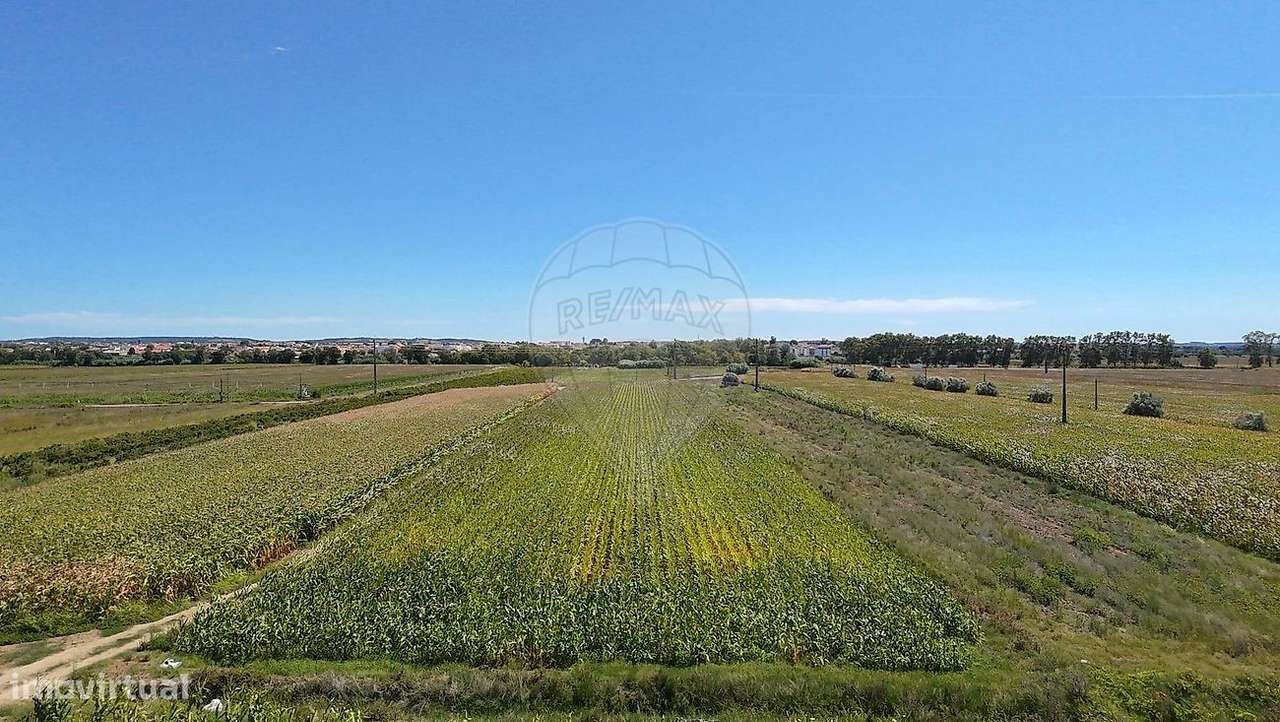 Terreno  para venda - Grande imagem: 5/6