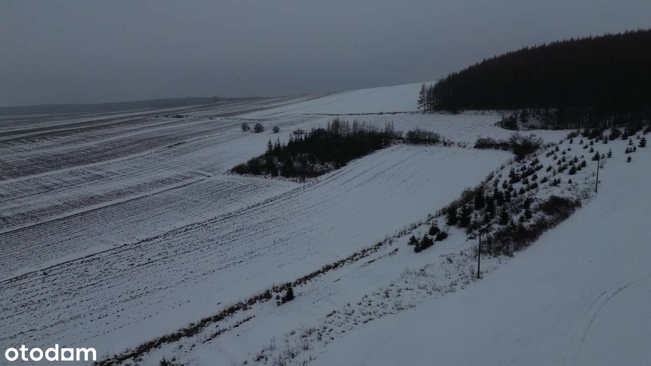 Dom wolnostojący z garażem na działce 30 000m² 3ha-13