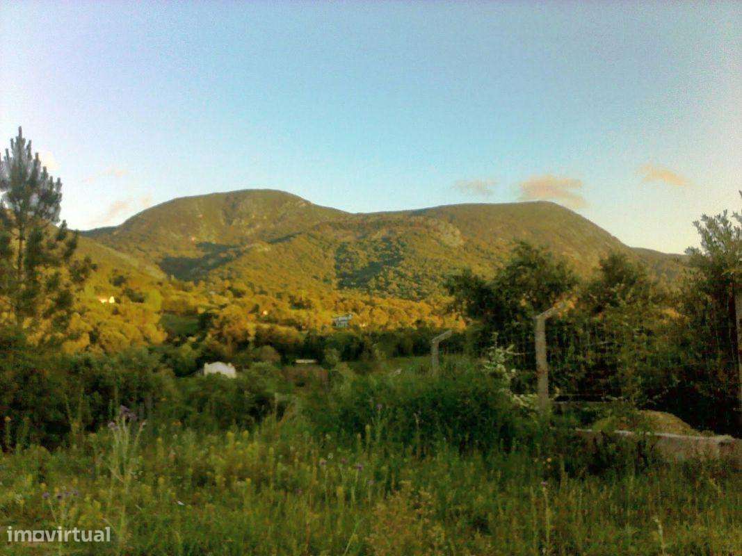 Parque Natural Arrábida Azeitão Terreno 5 Ha no cimo da serra . - Grande imagem: 3/5