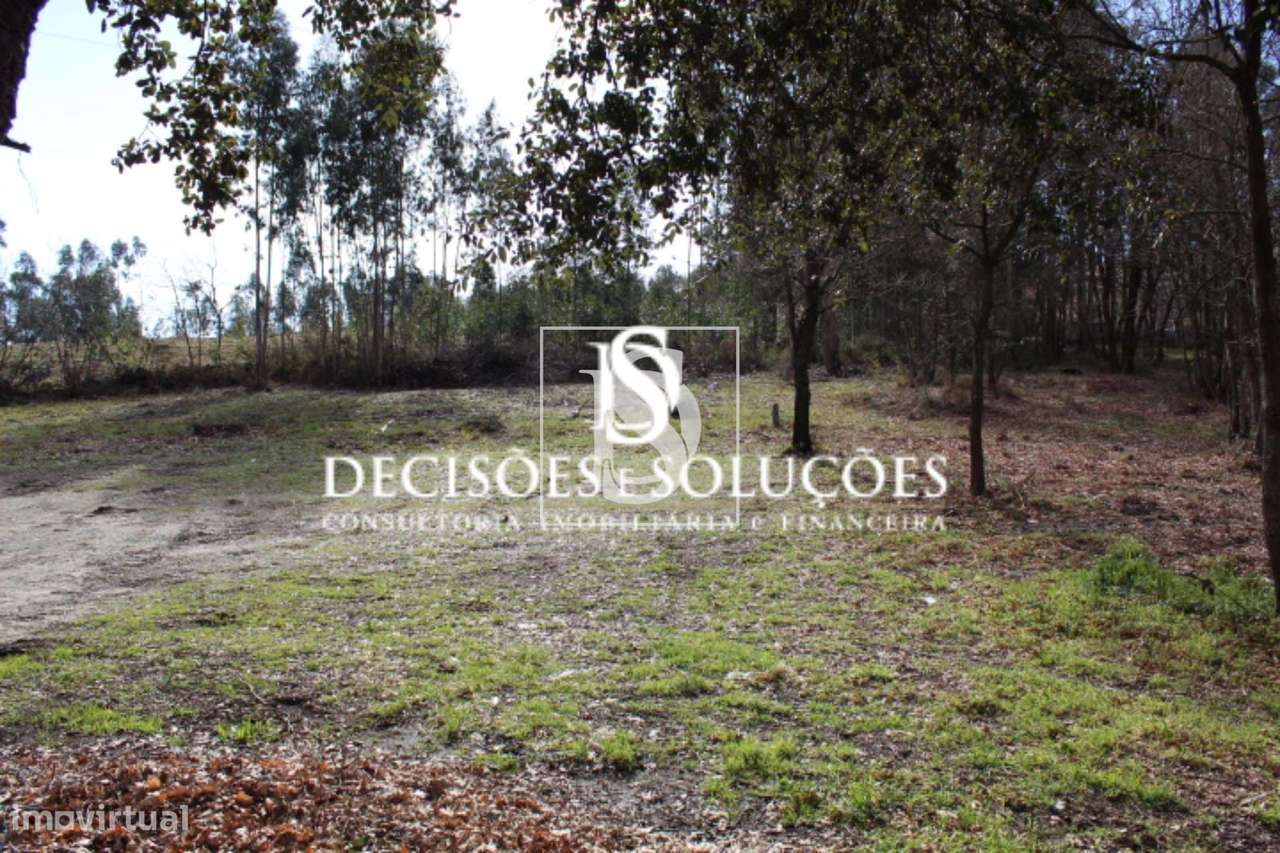 Terreno em Carvalhosa - Grande imagem: 5/5