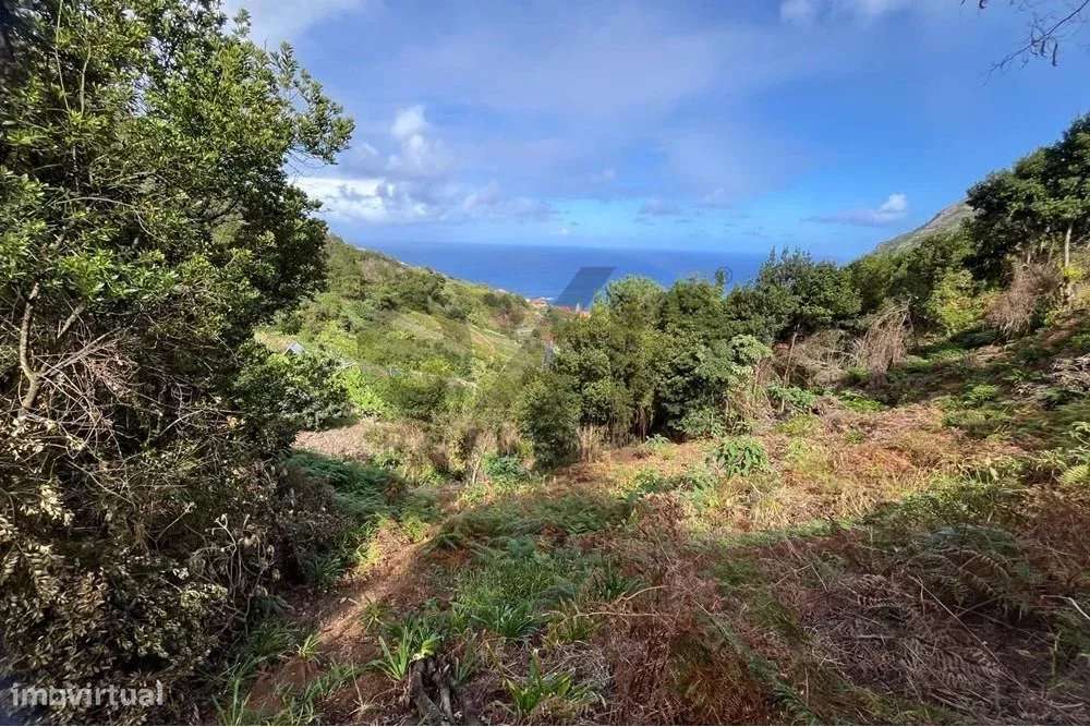 Terreno de 2090m2 no Faial: Oportunidade para Glamping ou Agroturismo - Grande imagem: 3/5