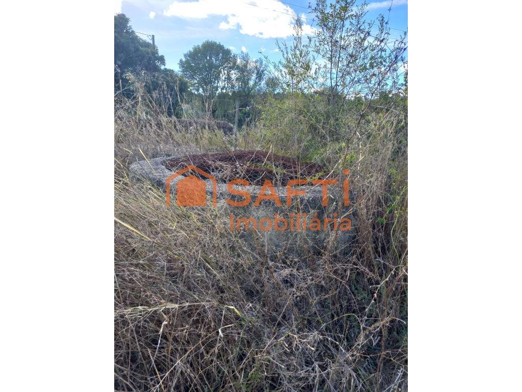 Vende-se Terreno Rústico em Tomar - Grande imagem: 5/6