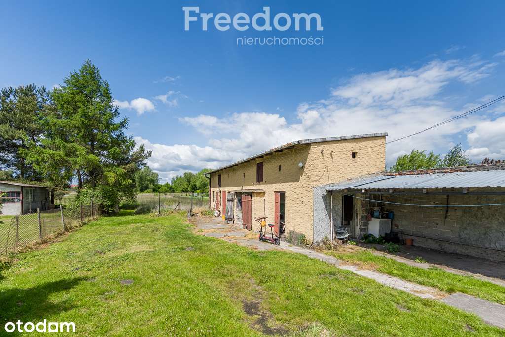 Dom do remontu na działce 2650 m² - Pełny obrazek: 5/13