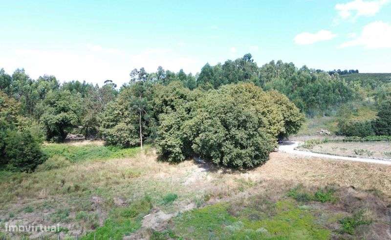 Terreno e Monte Guimarães - Grande imagem: 5/7