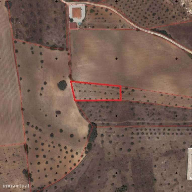 Terreno rústico de 2660 m2 em Tremês, Santarém - Grande imagem: 4/8