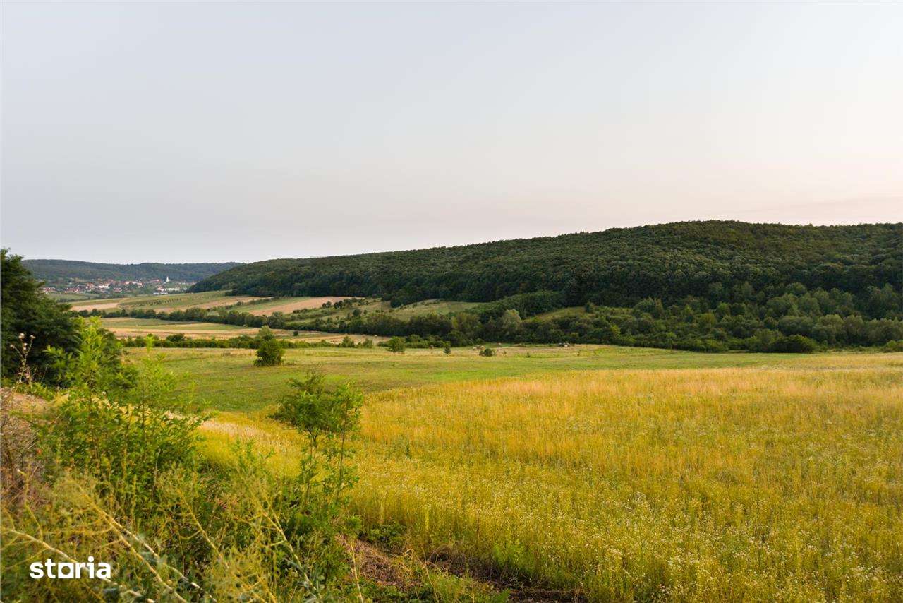 RECO Teren extravilan 11500 mp -Lazareni - Imagine principală: 2/5