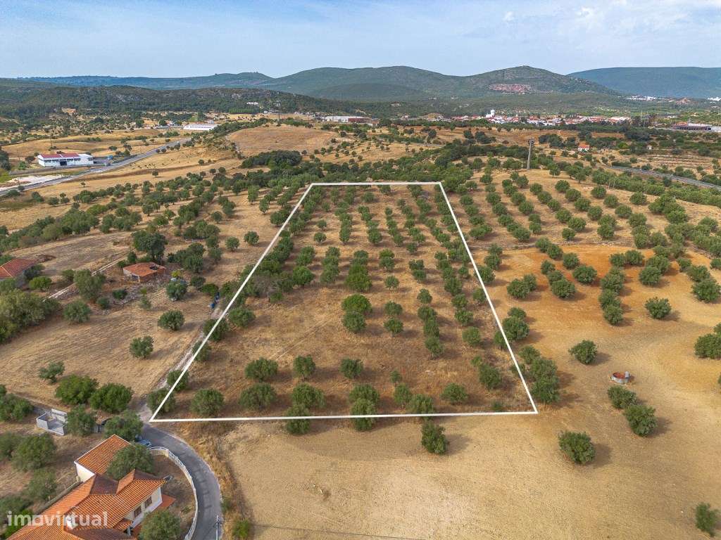 Terreno com potencial construtico em Alcanena - Grande imagem: 2/9