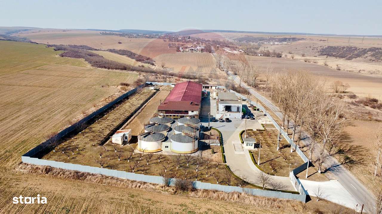 Crama din Buciumeni Afacere la cheie - Imagine principală: 4/12
