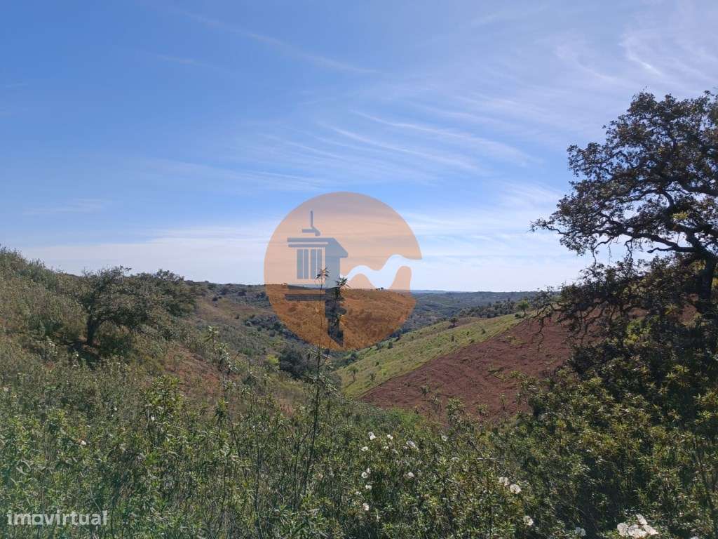 TERRENO RUSTICO COM 8.280 M2 - PRÓXIMO DO MAGOITO EM ODELEITE - CAS... - Grande imagem: 4/34