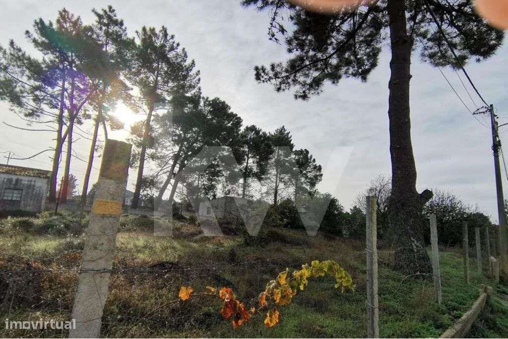 Terreno com 1506m2 para Construção - Grande imagem: 5/9