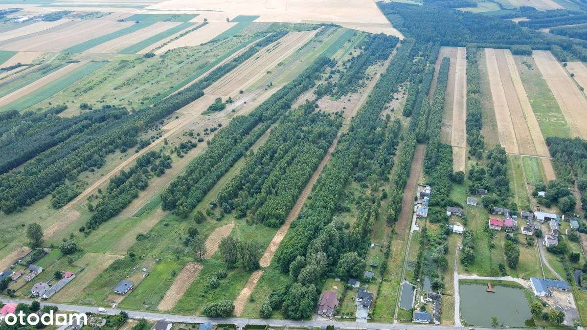 Działka 4,64 ha z częścią budowlaną | Gmina Mstów - Pełny obrazek: 4/7