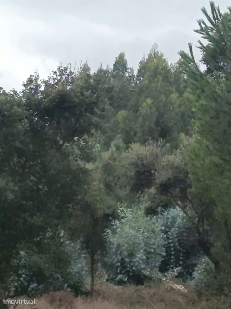 Terreno de viabilidade construtiva junto a Fazendas Almeirim-0