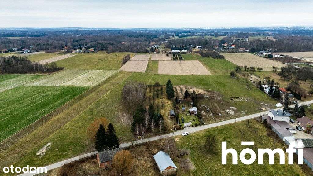 Piękna Działka Z Sadem Blisko Radomia - Pełny obrazek: 2/11