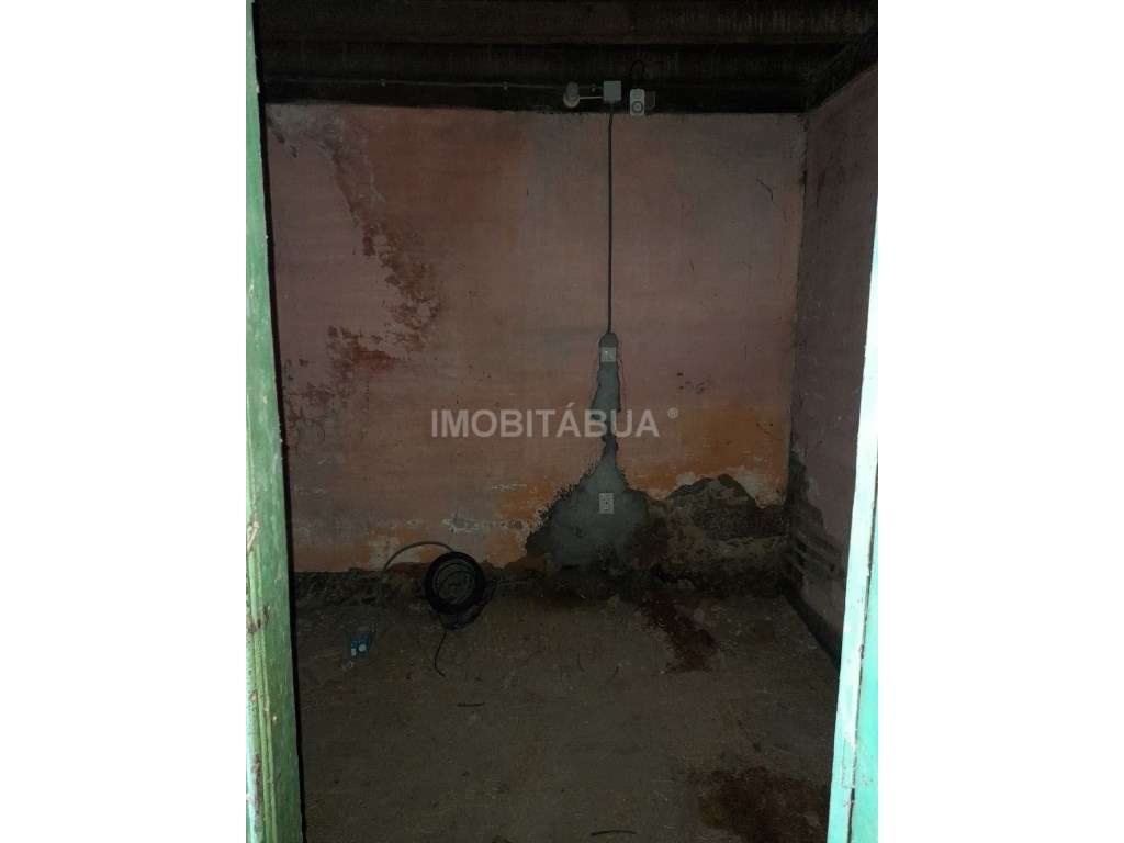 Quinta de Mirtilos com mais de 3 Hectares, localizada perto de Tondela-15