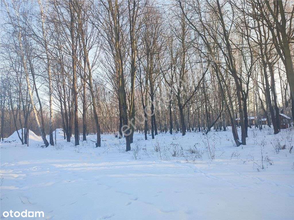 Działka w zielonym Milanówku 1 km od Pkp-4
