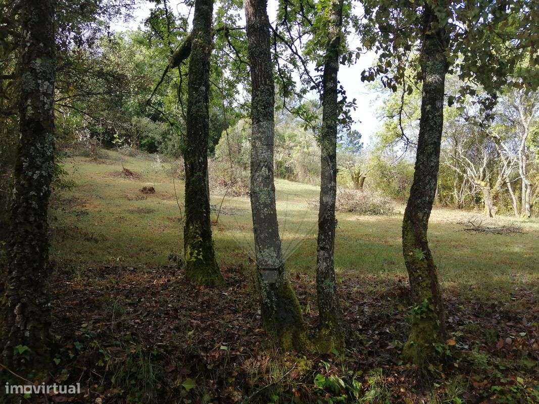 Terreno  para venda - Grande imagem: 3/4