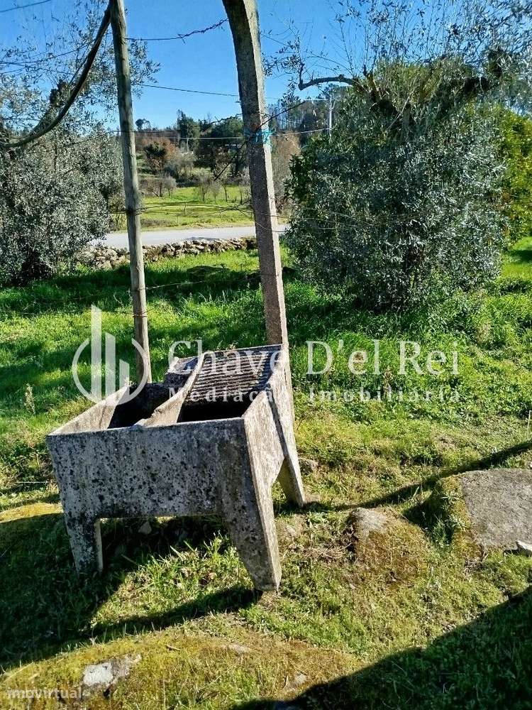 Quintinha T3 Venda em Espinho,Mangualde-9