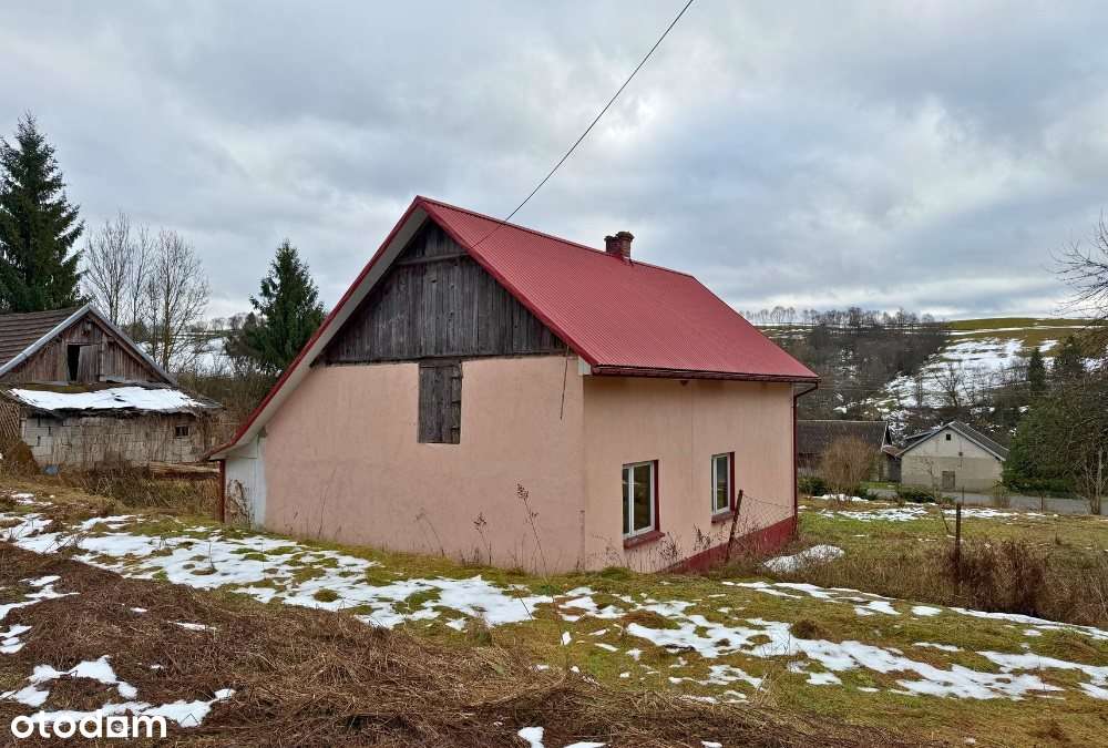 Dom w Bieszczadach - Pełny obrazek: 4/13