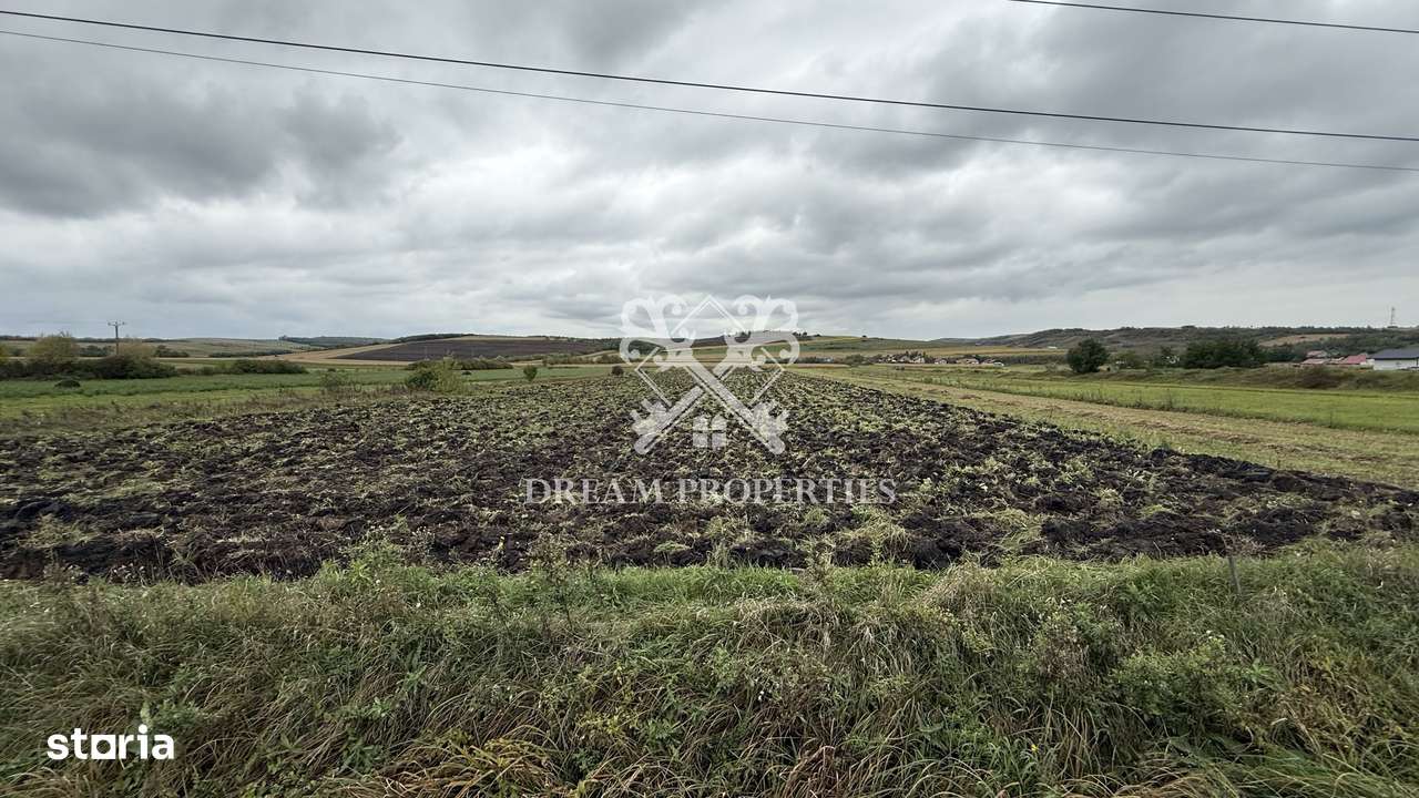 Oportunitate investiție! Teren intravilan, 9300 mp, front la DN, Iclod - Imagine principală: 1/4