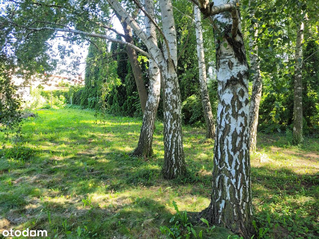 Dom 138 m2 z garażem 84 m2 i działką na biznes GRZEGORZEW-18