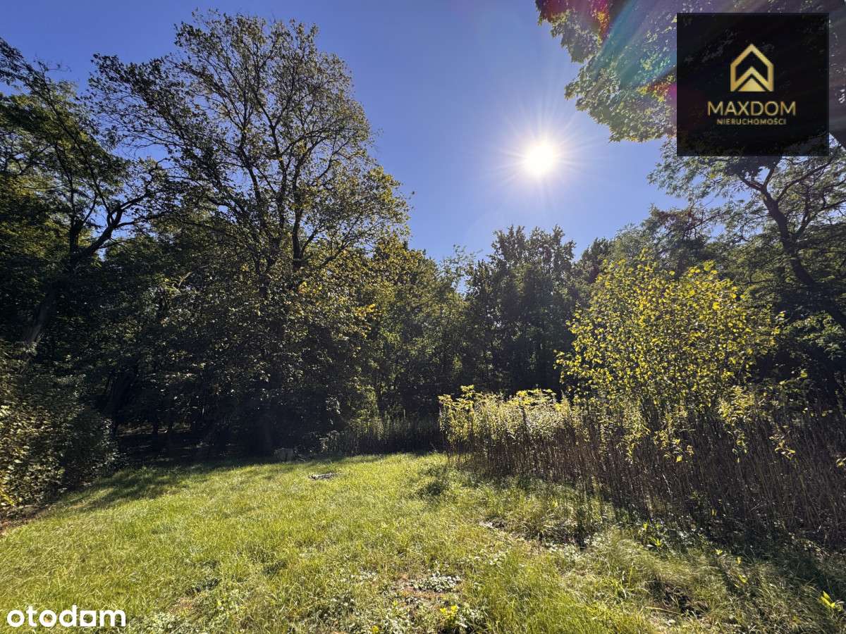Urokliwa działka budowlana wśród lasu blisko rzeki - Pełny obrazek: 3/16