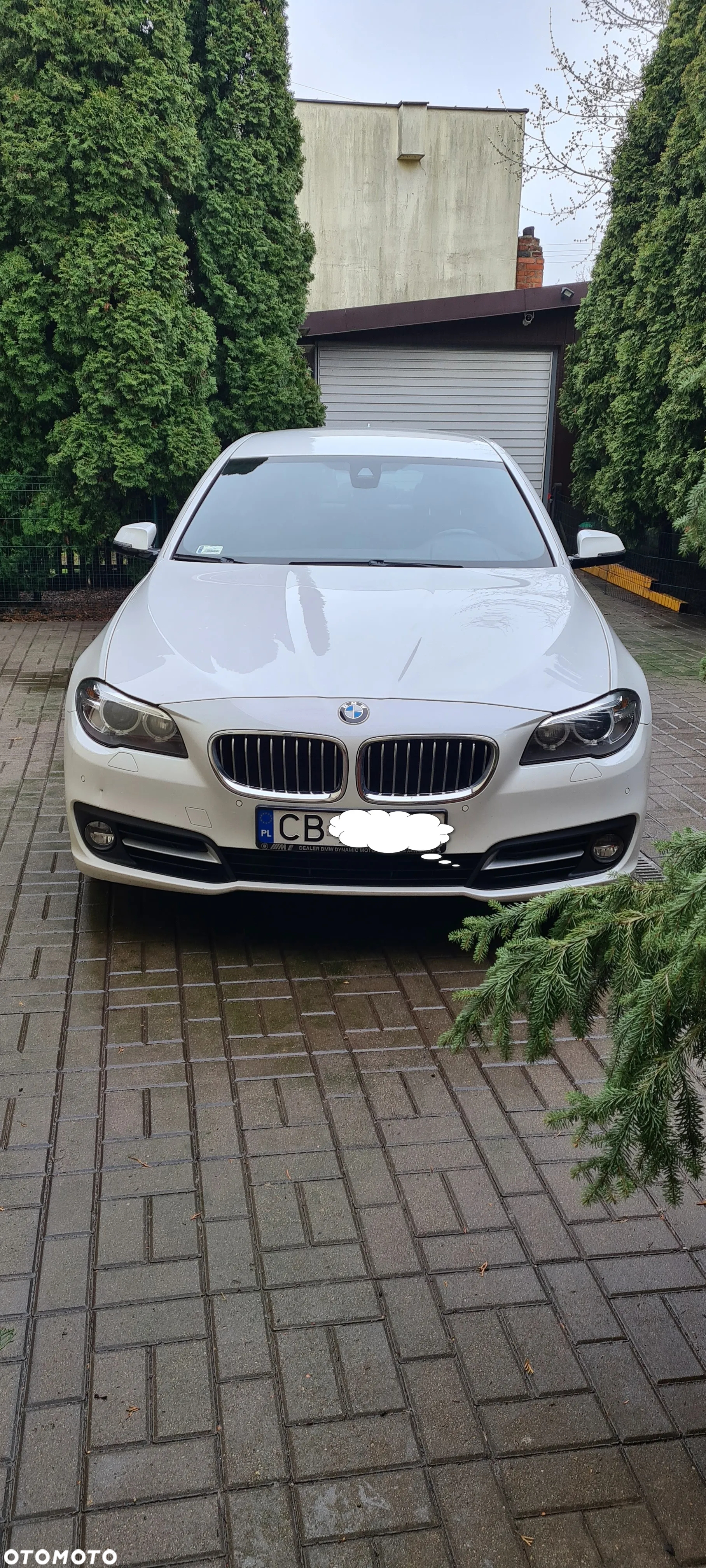 BMW Seria 5 520d xDrive Sport - 6