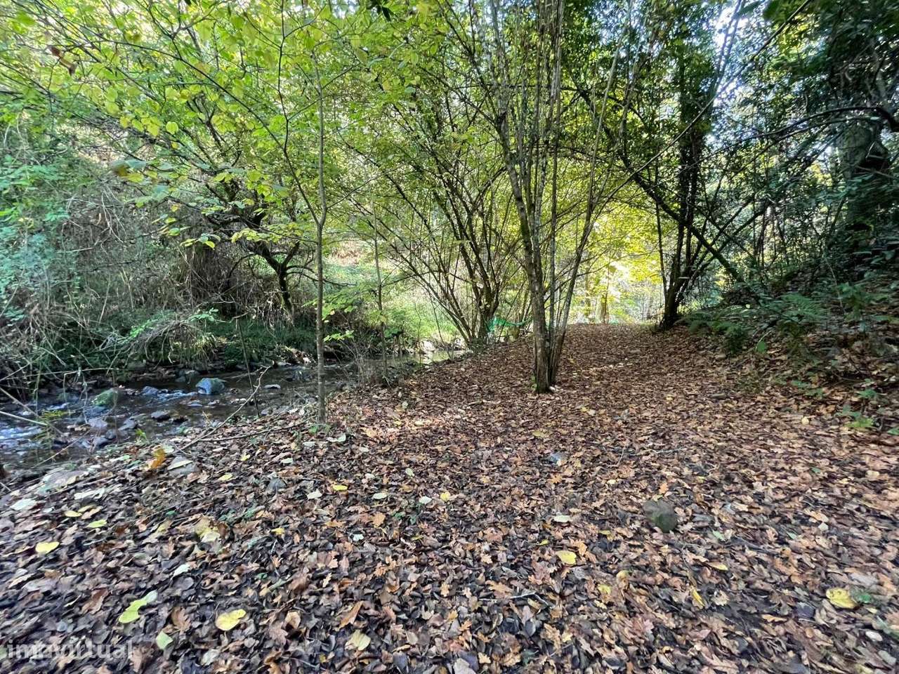 Quinta com casa para recuperar junto a ribeiro-13