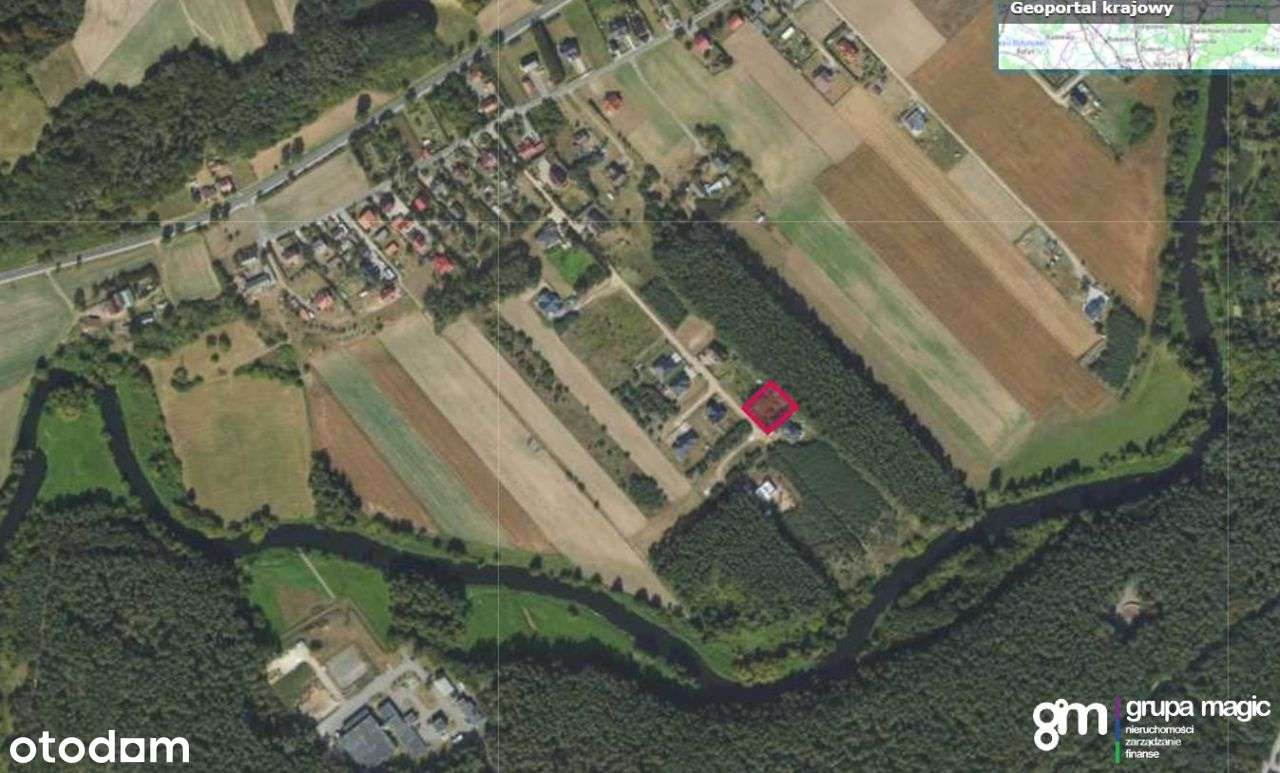 Działka ze ścianą lasu, Podzamek Golubski - Pełny obrazek: 2/15