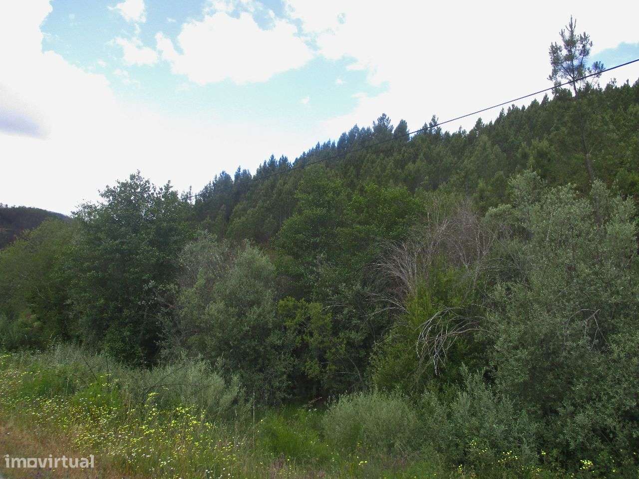 Terreno - Grande imagem: 4/7