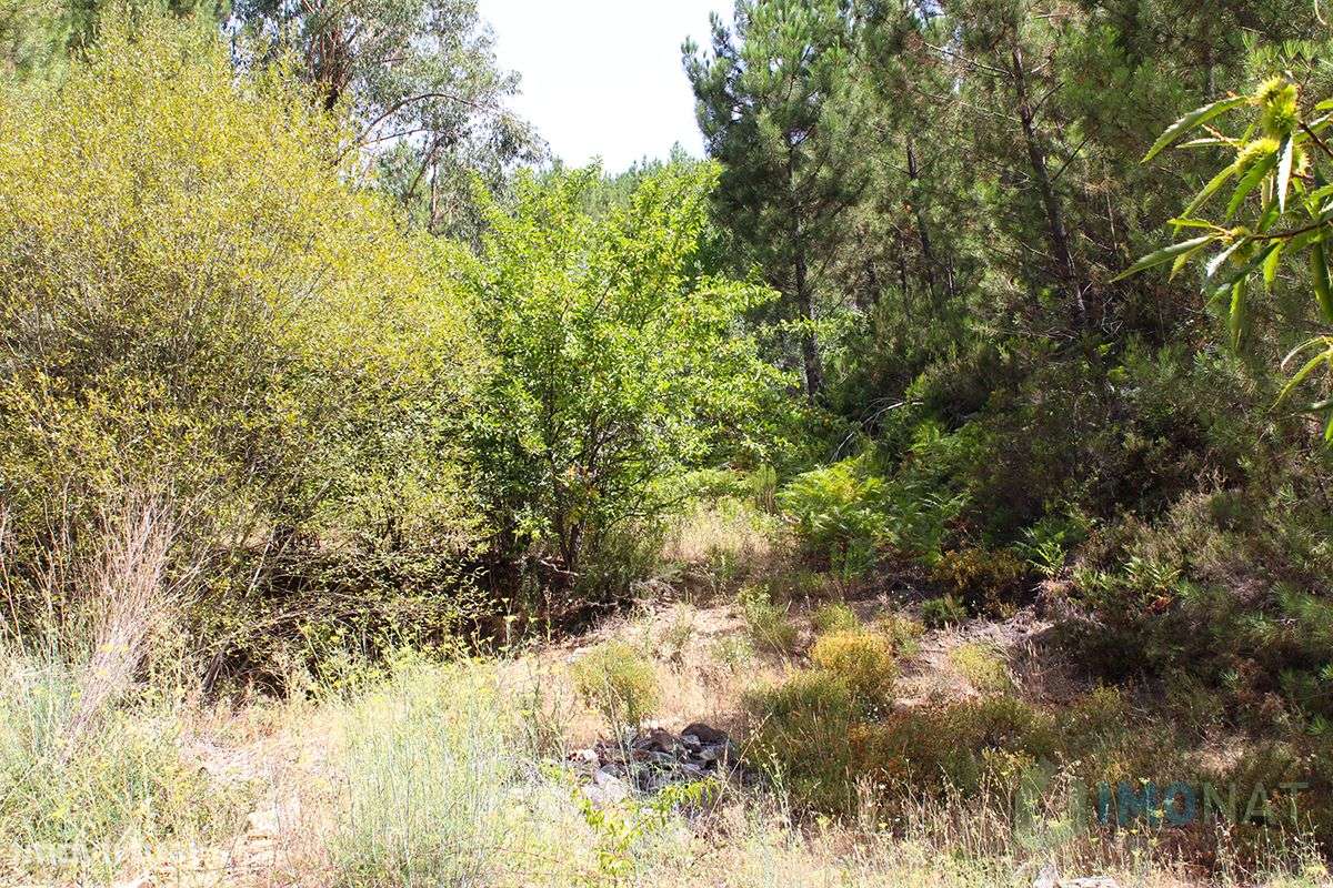 Quinta - Grande imagem: 4/32