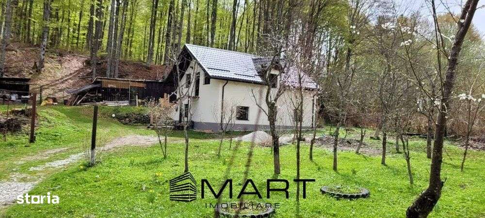 Casa de vacanta pe valea Avrigului - Imagine principală: 5/19